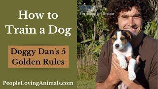 How to Train a Dog - Doggy Dan's 5 Golden Rules | How to Control Dog Behavior #dogbehavior