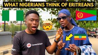 What Nigerians Think of Eritrea & Eritreans *Shocking Response*