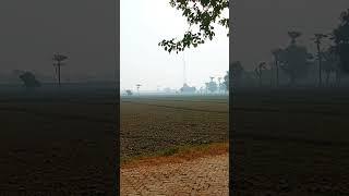 Village punjab Life