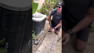 Sneaky Rattlesnake hides under AC unit trying to avoid Snake Wrangler Bruce