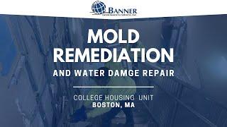 Mold Remediation & Water Damage Repair • Boston, MA