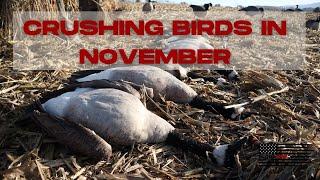 PA Goose Hunt | Should Have Had Our Limit!