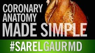 Coronary Artery Anatomy Made Simple