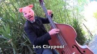 Les Claypool ALS Ice Bucket Challange