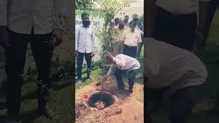 Plantation on World Environment Day #AMU #reels #viral