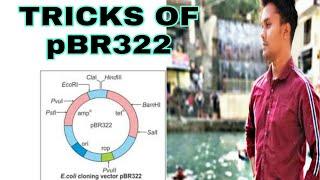 TRICKS OF pBR322 / BIOTECHNOLOGY TRICKS /NEET 2020 /NCERT