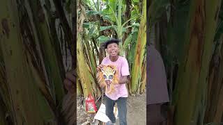 Har Har Sambhu ️ #shorts #ytshorts #absshorts #funny #trending