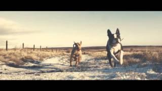 Hydra Creative Showreel