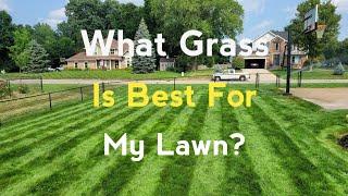 Cool Season Grass Part One: Finding The Right Grass For Your Lawn