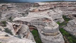 Natural Bridges National Monument