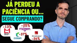 O QUE ACONTECEU COM (BRAP4, LEVE3, CSAN3, RAIZ4)? AÇÕES EM QUEDA! ANÁLISE, OPINIÃO, ESTIMATIVAS...