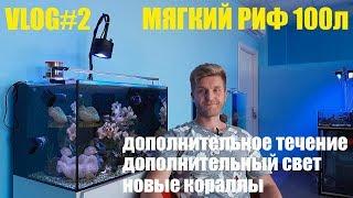 Мягкий риф 100 литров.  VLOG#2.  Дополнительное течение.  Дополнительный свет.