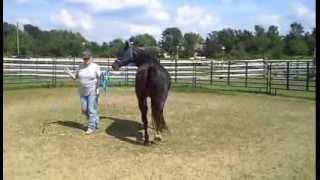 Zhimba Working Out