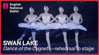 Swan Lake: Cygnets from rehearsal to stage (extract) | English National Ballet