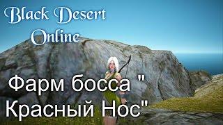 Black Desert Online ( BDO) - фарм босса " Красный Нос"