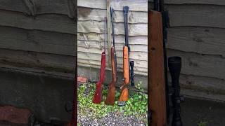 BSA Meteor MK1 + BSA Airsporter MK2 + Webley Eclipse vs Duck Box