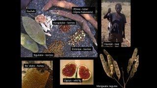 CARTA: The Evolution of Human Nutrition