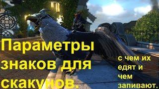 Бонусы знаков для скакунов.  Neverwinter online.