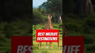 Ultimate Wildlife Journeys: Top 10 Destinations for Nature Enthusiasts #shorts