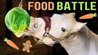 HORSE - FOOD BATTLE 2024 - VLOGMAS