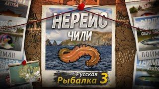 "Мутант" Нереис. Морской Червь. Побережье Чили. Русская Рыбалка 3.