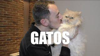 GATOS