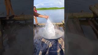 The WEIRDEST Way to Cook a 9lb TUNA?!