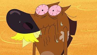 Zig & Sharko | Zig's moustache (Compilation) BEST CARTOON COLLECTION | New Episodes in HD