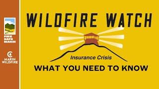 What to Do if Your Home Insurance Gets Canceled