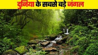 ये हैं दुनिया के 10 सबसे बड़े जंगल | Largest Forests In The World