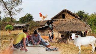 Simple village life India | Indian village nature video | Beautiful nature with rural life