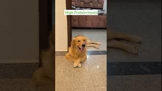 story of bmk eco farm threats :/ ORDER - AMAZON & bmk Eco farm website #goldenretriever #puppy