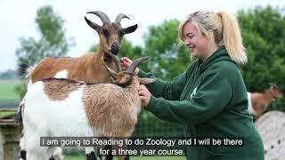 Sparsholt College Animal Management student - Karly talking about her experience