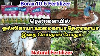 தென்னை வேர் மூலமாக உர பயன்பாடு | Organic Fertilizer For Coconut Tree | Natural Coconut Farming