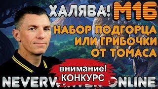 М16. ХАЛЯВА. НАБОР ПОДГОРЦА ИЛИ ГРИБОЧКИ ОТ ТОМАСА. Neverwinter Online