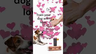 Train your dog with love
