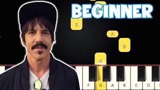 Otherside - Red Hot Chili Peppers | Beginner Piano Tutorial | Easy Piano