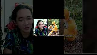 Power Ranger Kocak | React Video Viral Part 118 #shorts #short #shortviral #shortsviral