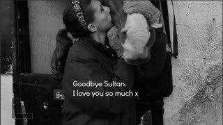 Goodbye Sultan, I love you.