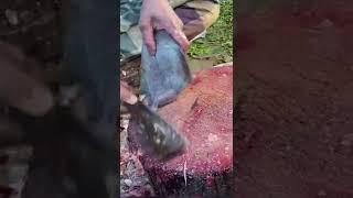 Amazingly Fast ️ Fish Cleaning  Skills  #shorts #fast #fish #cleaning #skills #streetfood