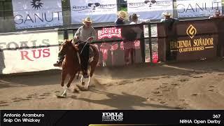 OPEN DERBY y Shootout - Guadalajara Reining Classic