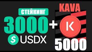 KAVA и USDX. Как их выгодно застейкать