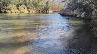 Aeroboat on Armuchee Creek