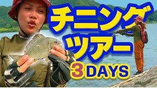 【チニング】初心者のチニング。Black sea bream fishing