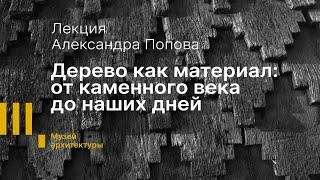 Лекция Александра Попова «Дерево как материал: от каменного века  до наших дней»