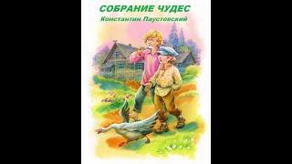 СОБРАНИЕ ЧУДЕС- Рассказ- Константин Паустовский