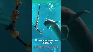 Даня в образе ДАНЛУДАН / DANLUDAN #shorts #данлудан #danludan