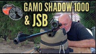 Gamo Shadow 1000 TEST JSB dijabola na 25 m