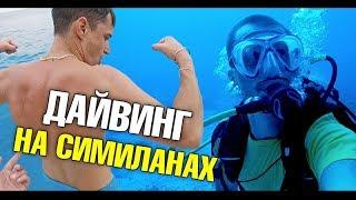 Самый лучший дайвинг на Симиланских островах. Что на дне? Подводный мир ft. Александр Кондрашов