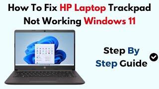 How To Fix HP Laptop Trackpad Not Working Windows 11